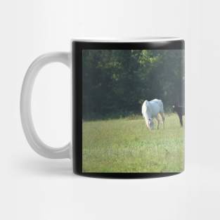 Wild Mare and Foal Mug